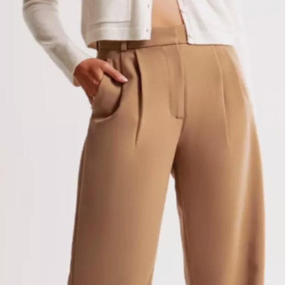 ABERCROMBIE & FITCH Sloane Tailored Wide Leg Pant - Beige, Size 32/14